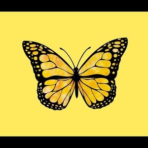 Meet your Posher, Lilly